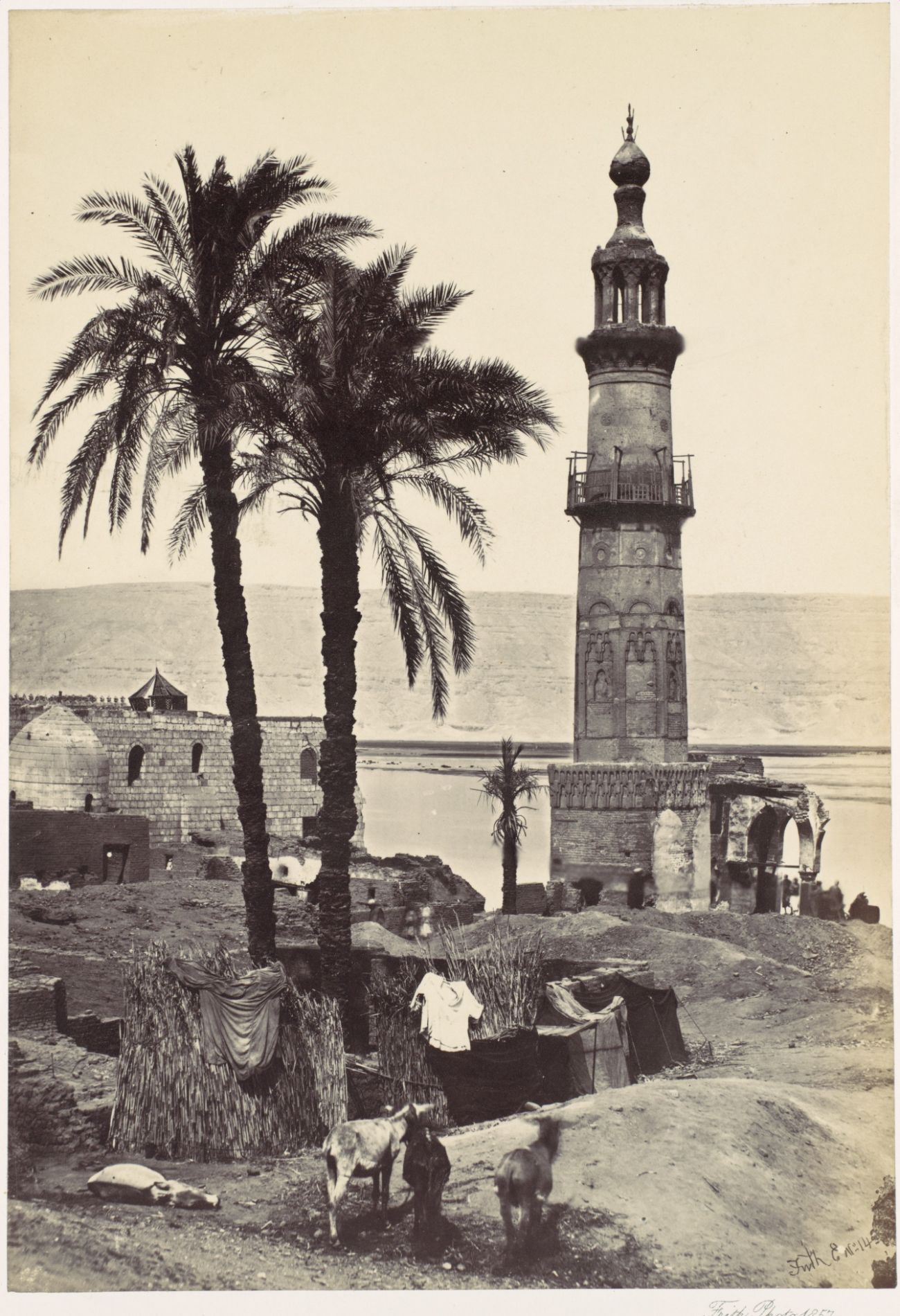 Francis Frith, View at Girgeh, 1857, albumen print, photograph valuation